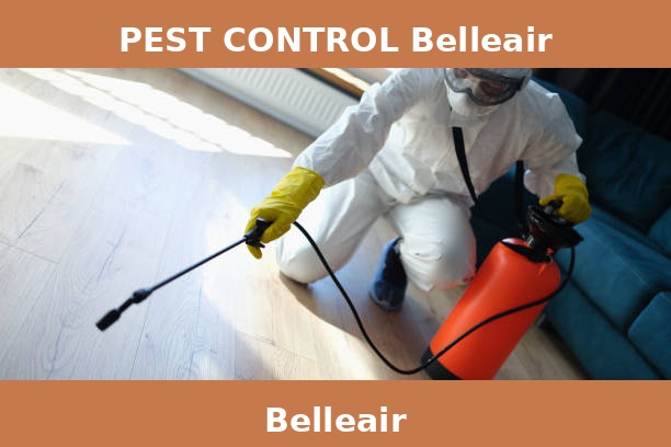 PEST CONTROL Belleair